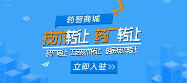 工藝技術藥廠轉讓 信息展示的最佳實踐與工具應用